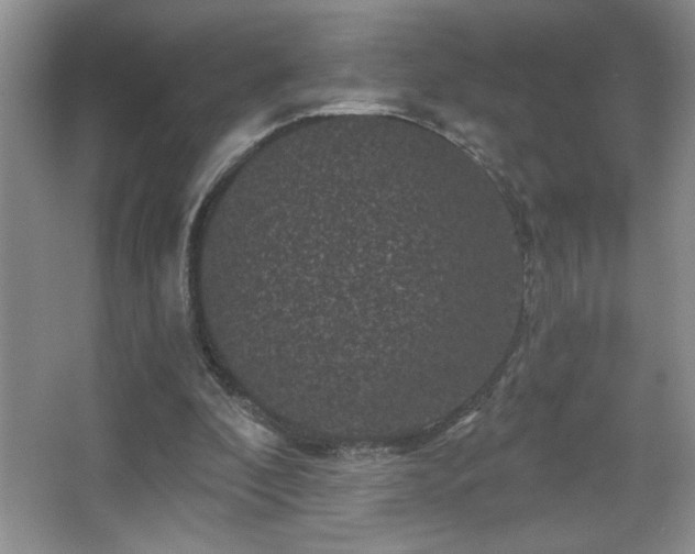 X0000067880296200604131309