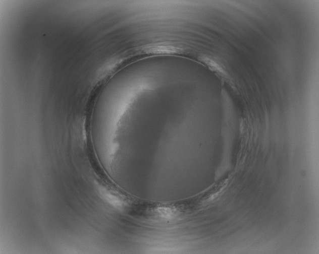 X0000067880302200604131309