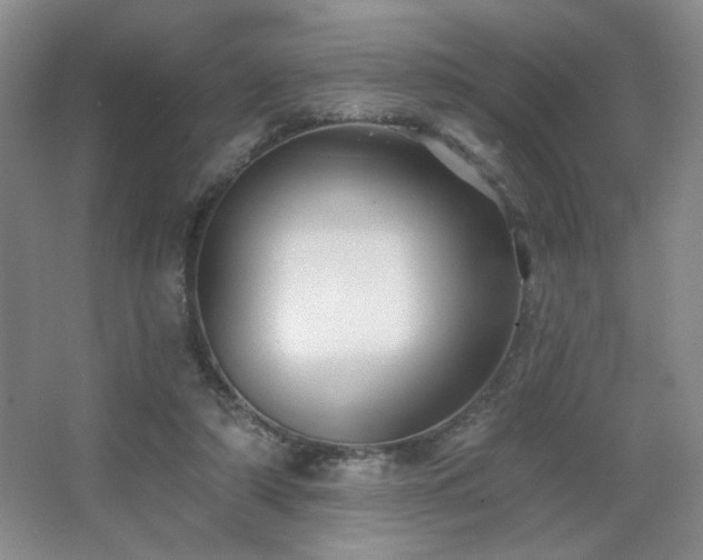 X0000067880306200604131309