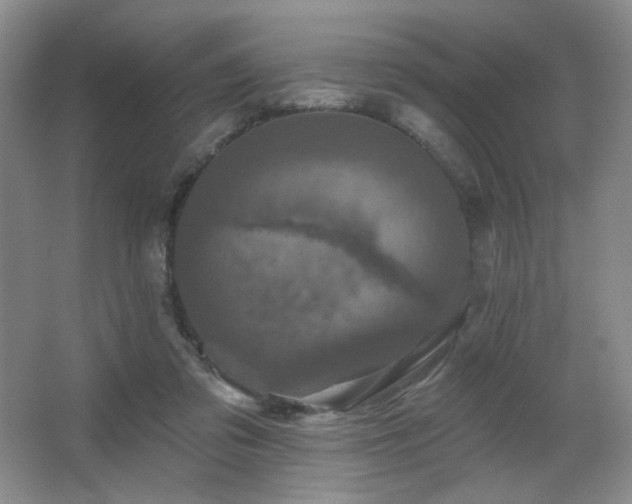 X0000067880309200604131309