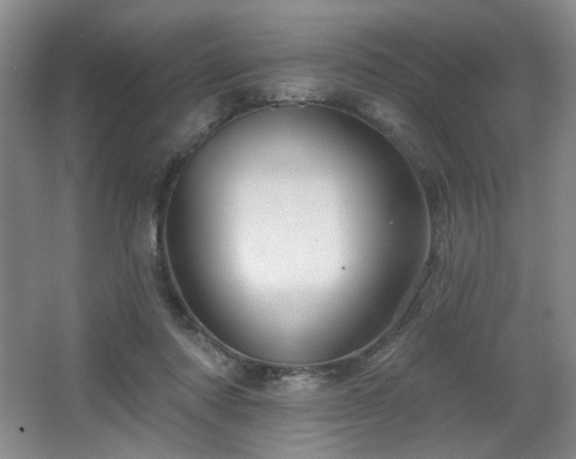 X0000067880310200604131309
