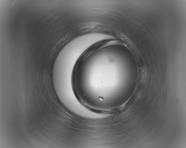 X0000067880313200604131309