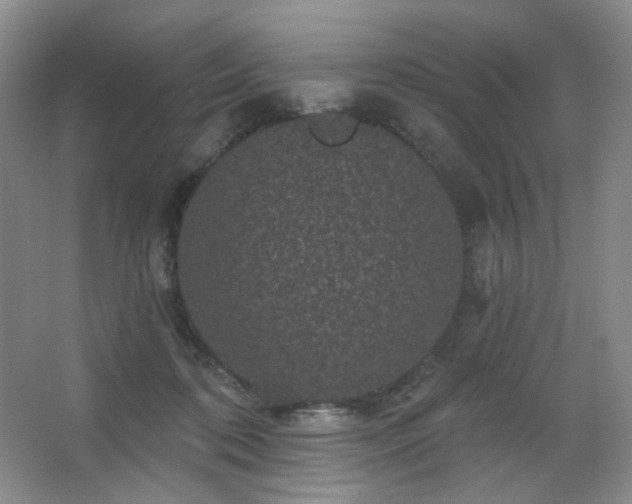X0000067880316200604131309