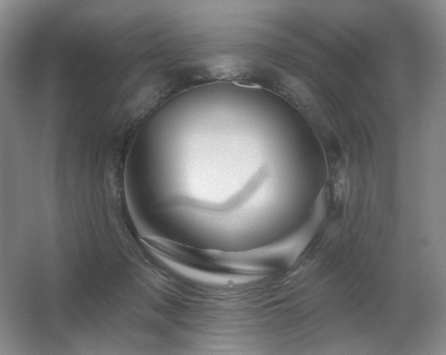 X0000067880317200604131309