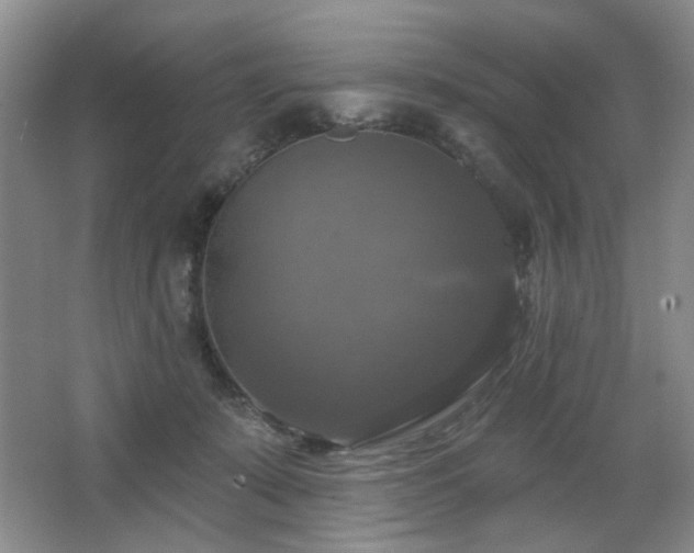 X0000067880319200604131309