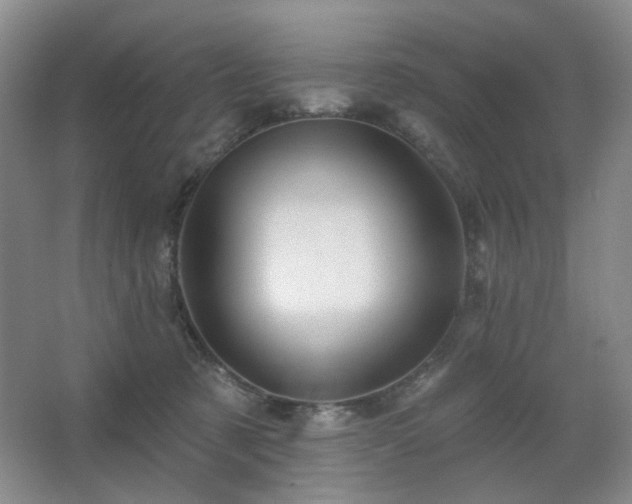 X0000067880321200604131309