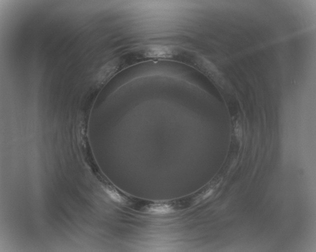 X0000067880322200604131309