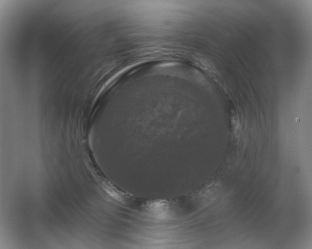 X0000067880325200604131309