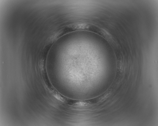 X0000067880326200604131309