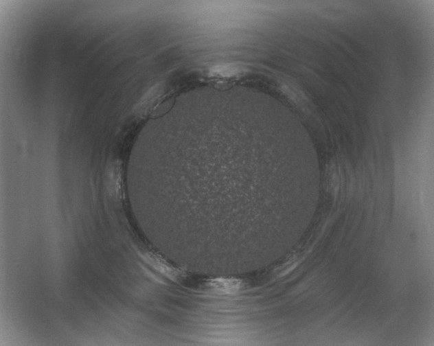 X0000067880328200604131309