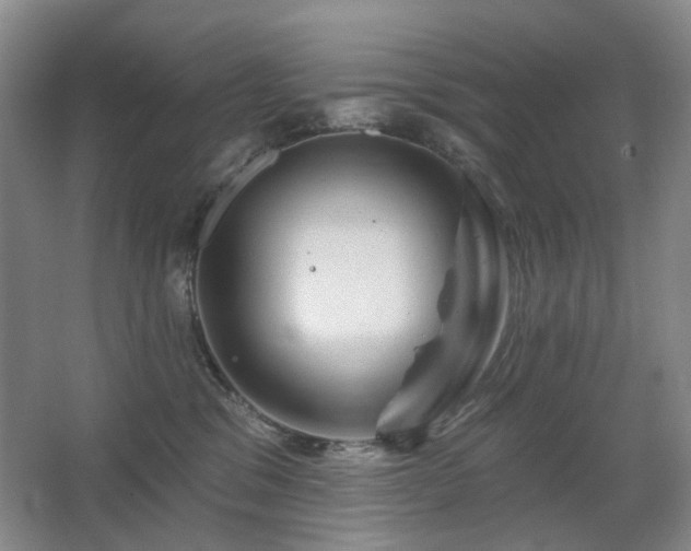 X0000067880329200604131309