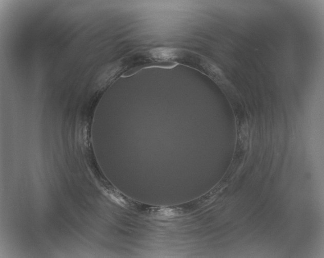 X0000067880330200604131309
