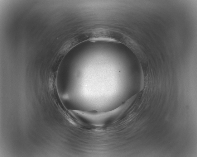 X0000067880333200604131309