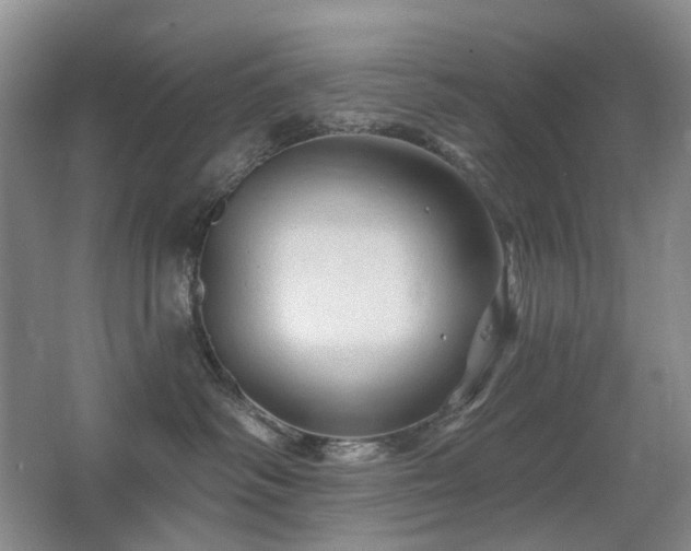 X0000067880334200604131309