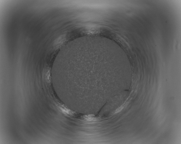 X0000067880336200604131309