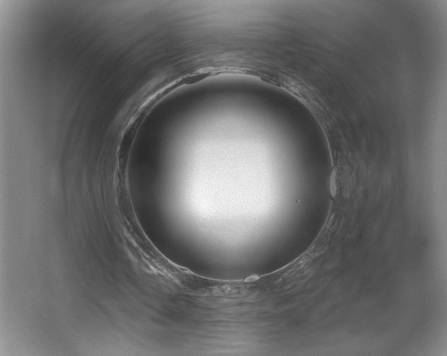 X0000067880338200604131308