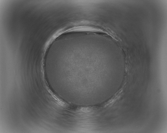 X0000067880341200604131308