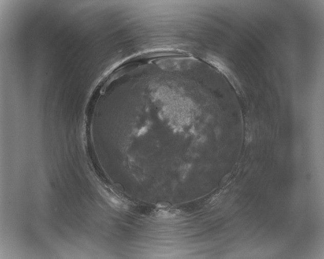 X0000067880346200604131308