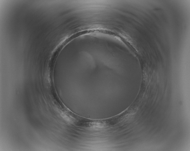 X0000067880347200604131308