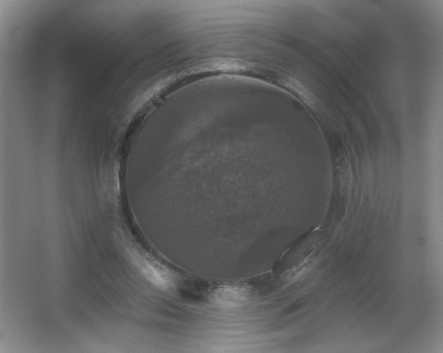 X0000067880350200604131308