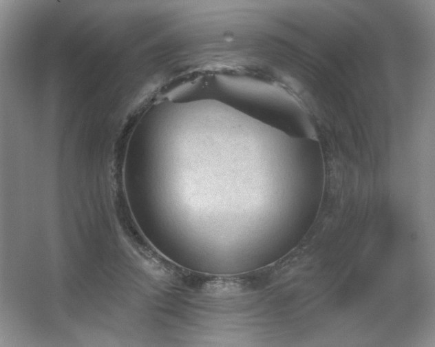 X0000067880354200604131308