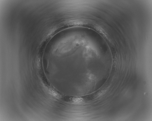 X0000067880355200604131308