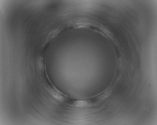 X0000067880361200604131308