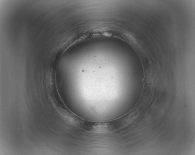 X0000067880362200604131308