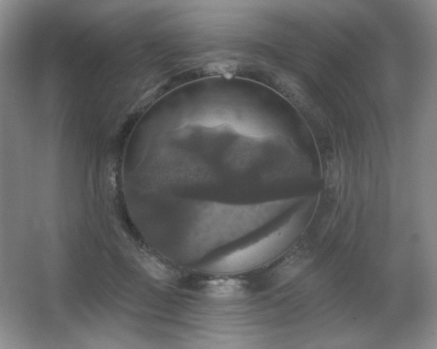 X0000067880363200604131308