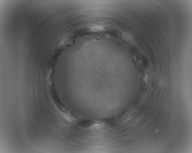 X0000067880364200604131308