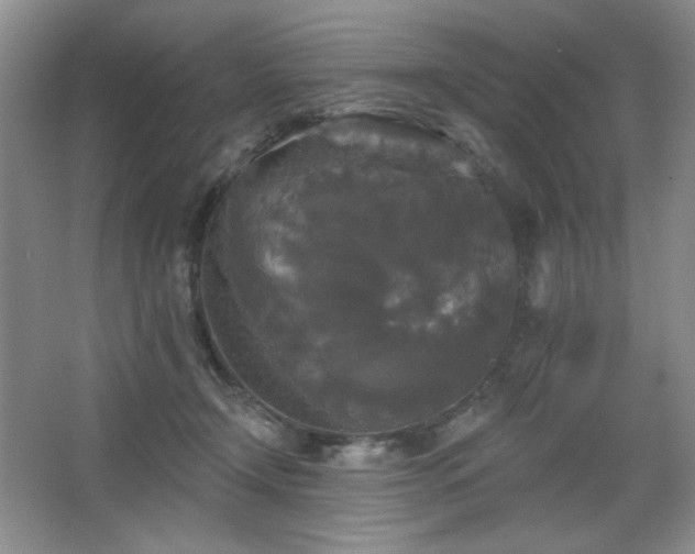 X0000067880366200604131308