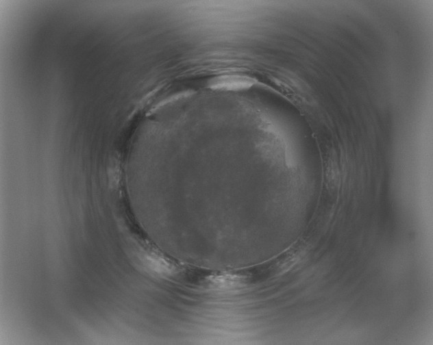 X0000067880367200604131308