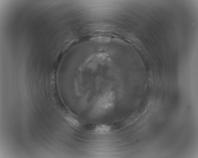 X0000067880369200604131308