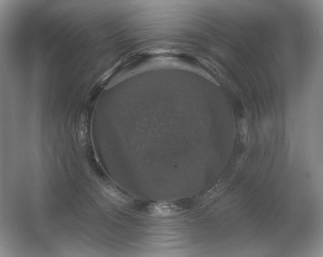 X0000067880372200604131308