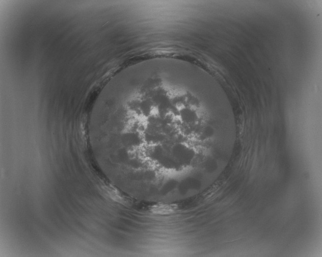 X0000067880373200604131308