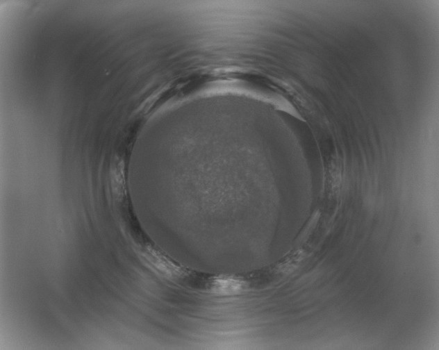 X0000067880376200604131309