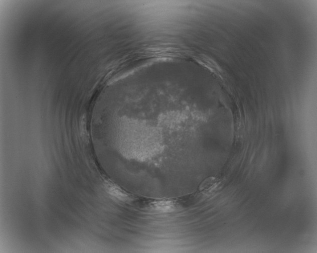 X0000067880377200604131309