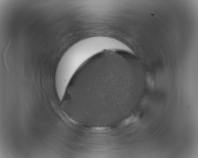 X0000067880380200604131309