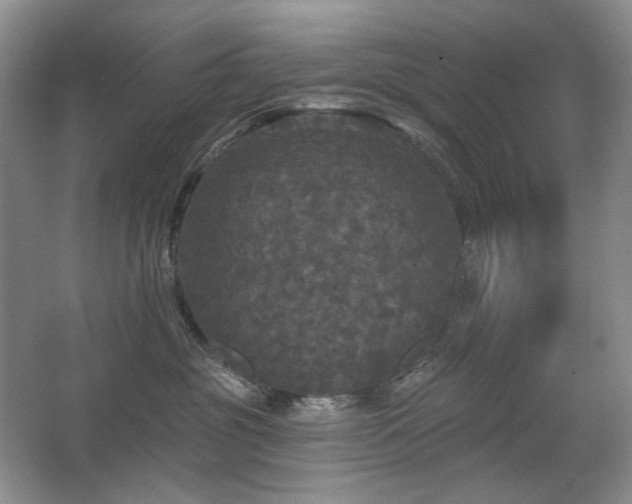 X0000067880381200604131309