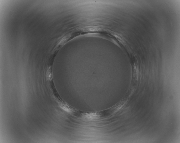 X0000067880383200604131309