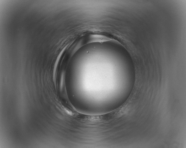 X0000067880384200604131309