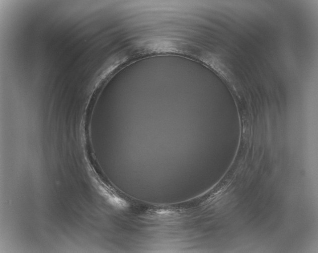 X0000067880390200604131308