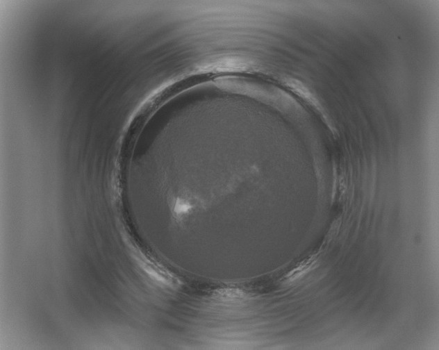 X0000067880392200604131308
