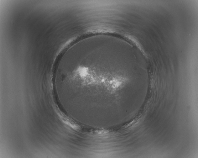 X0000067880395200604131308