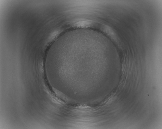 X0000067880403200604131308