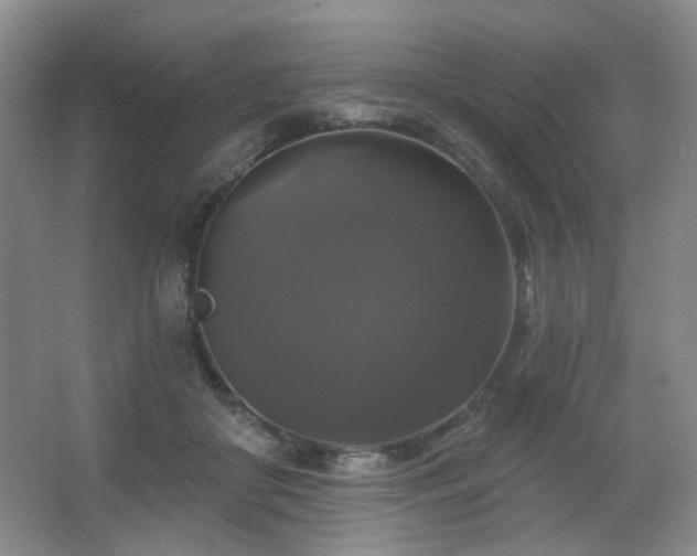 X0000067880410200604131307