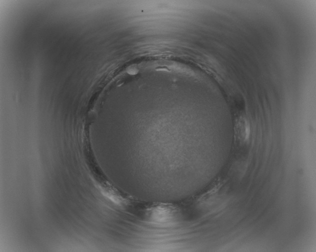 X0000067880412200604131307