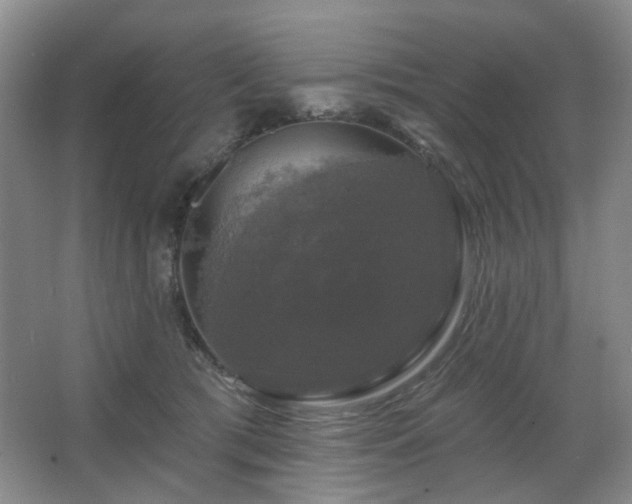 X0000067880417200604131307