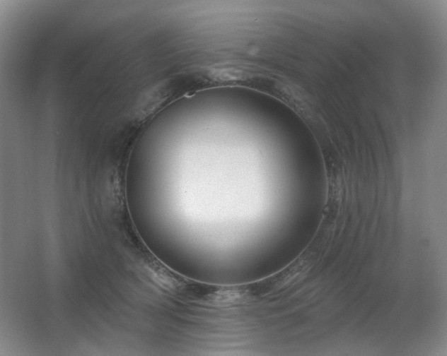 X0000067880418200604131307