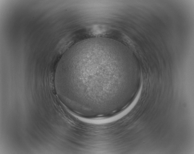 X0000067880421200604131307